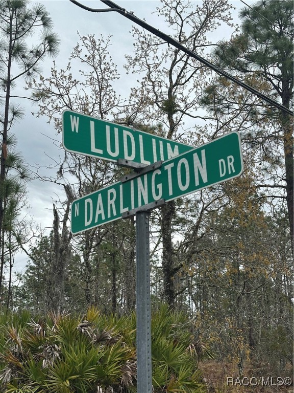 1042 W Ludlum Street, Citrus Springs, New York image 1