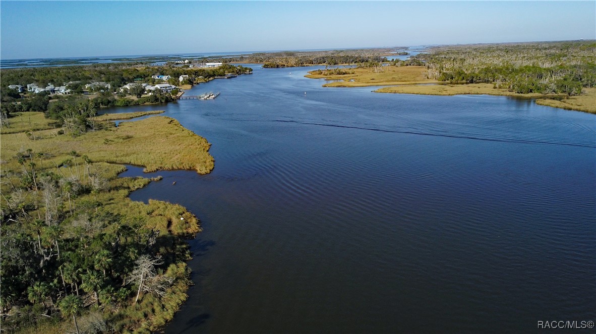 11410 W Brown Pelican Path, Crystal River, Florida image 13