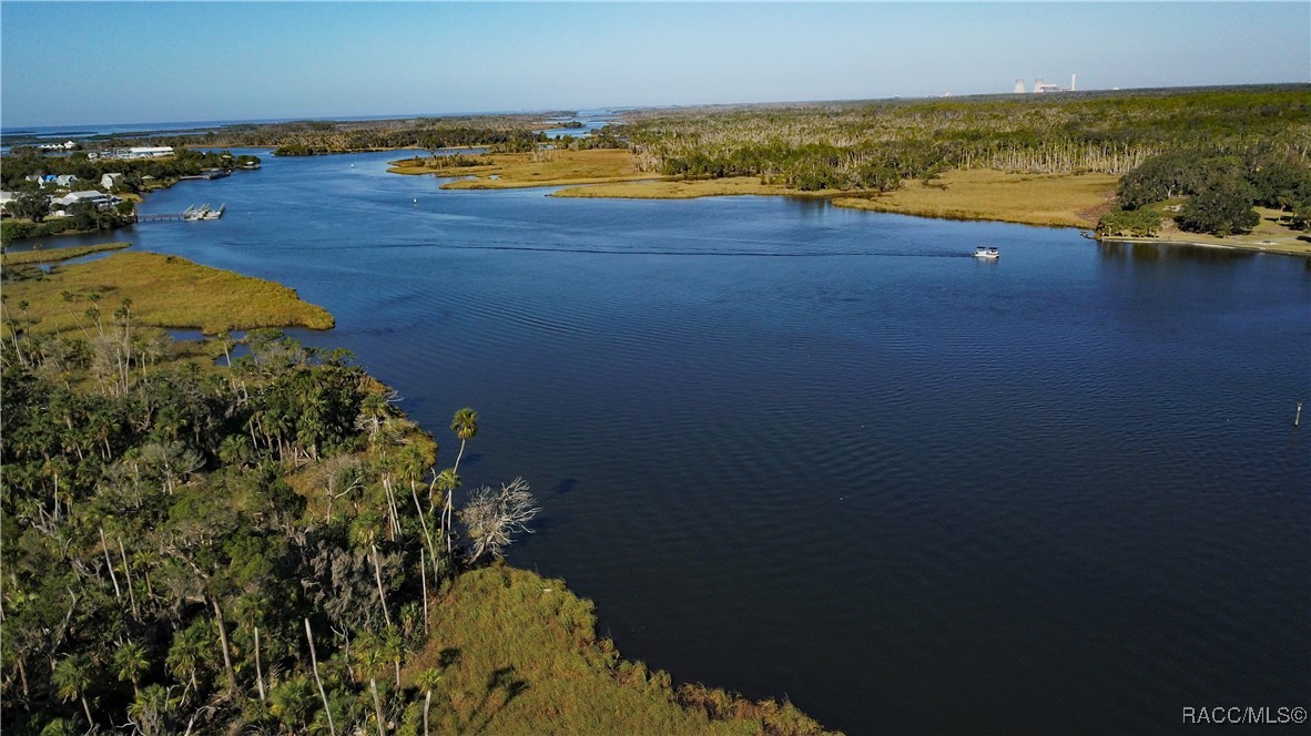 11410 W Brown Pelican Path, Crystal River, Florida image 12