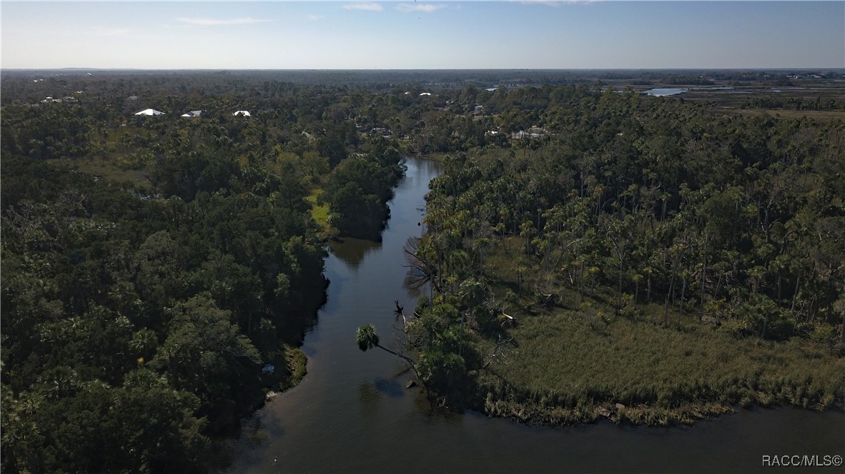 11410 W Brown Pelican Path, Crystal River, Florida image 15