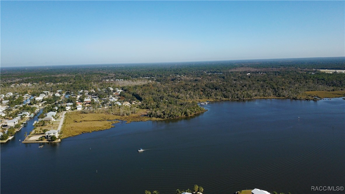 11410 W Brown Pelican Path, Crystal River, Florida image 9