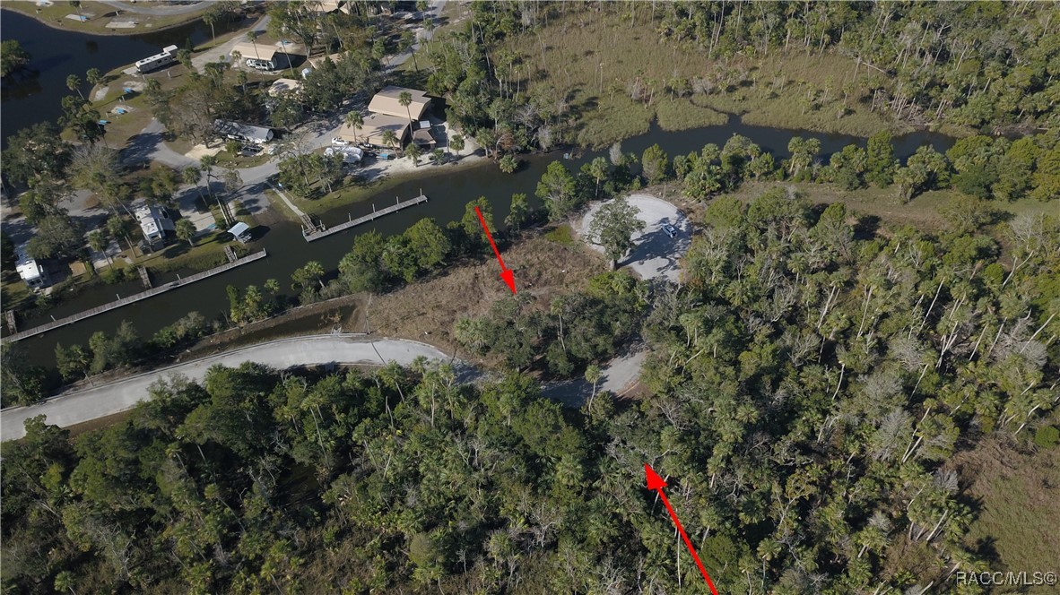 11410 W Brown Pelican Path, Crystal River, Florida image 3