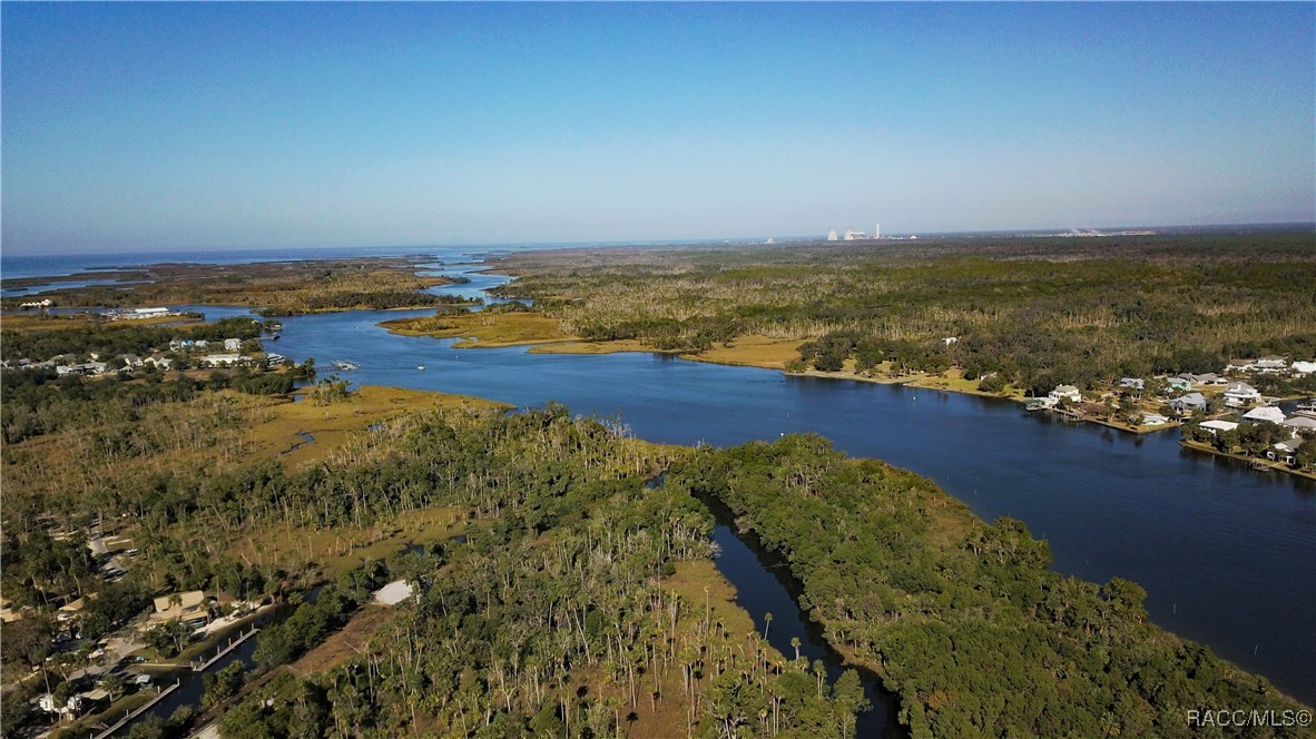 11410 W Brown Pelican Path, Crystal River, Florida image 8