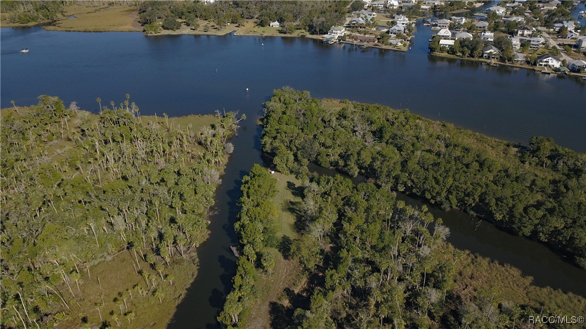 11410 W Brown Pelican Path, Crystal River, Florida image 7