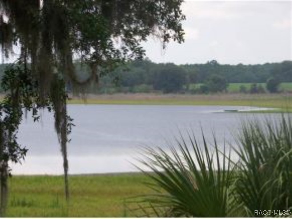 Lot 12 SE 131st Terrace, Dunnellon, Florida image 3