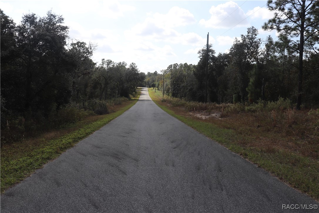 00 SW Hillcrest Avenue, Dunnellon, Florida image 2