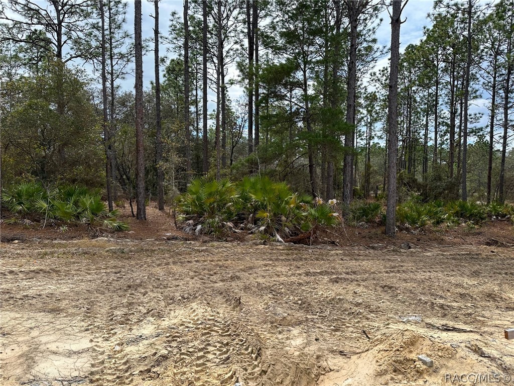 6412 W El Dorado Lane