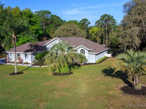 A home in Hernando