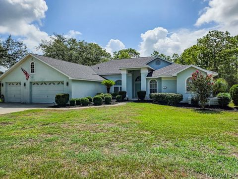 13 Sycamore Court W Homosassa FL 34446