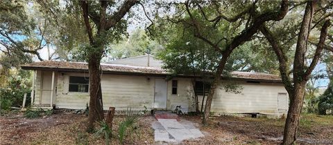 A home in Hernando