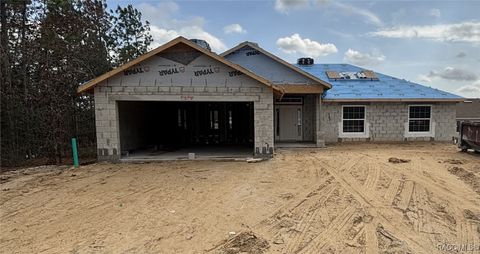 A home in Citrus Springs