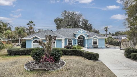 4480 E Van Ness Road Hernando FL 34442