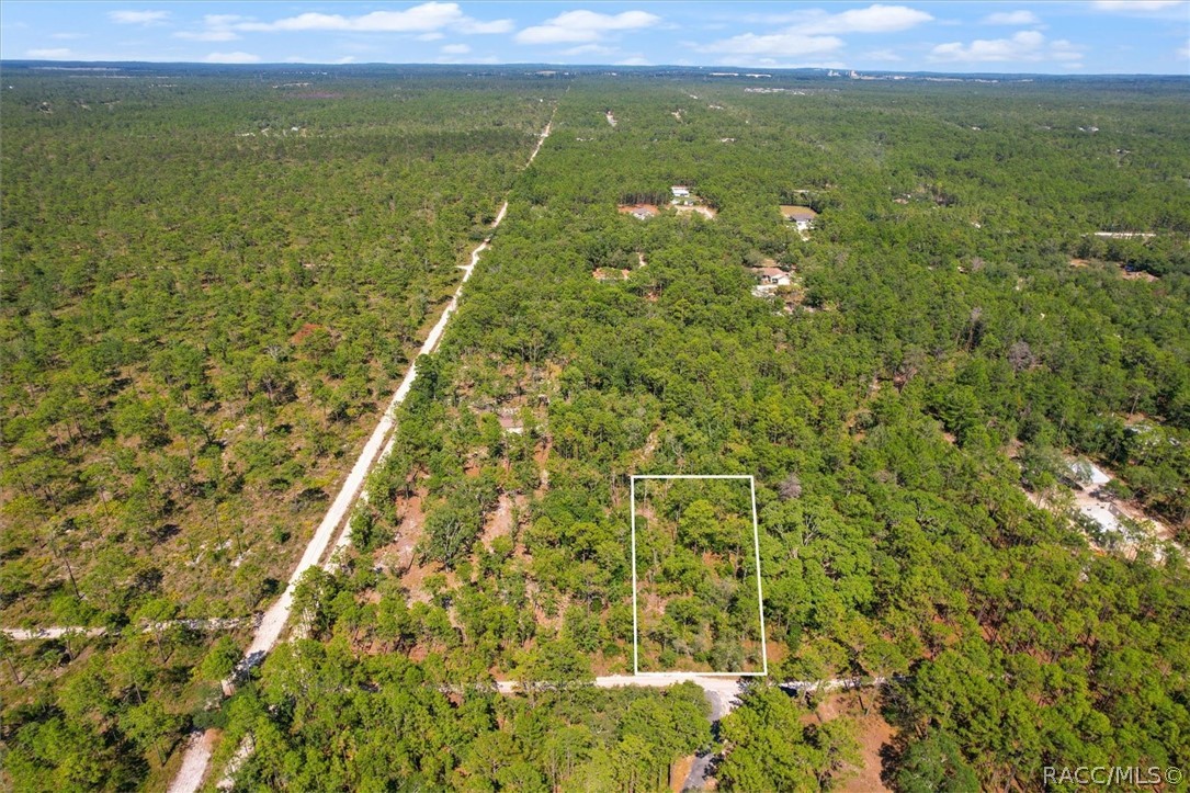 16452 Hardeman Junction, Weeki Wachee, Florida image 1