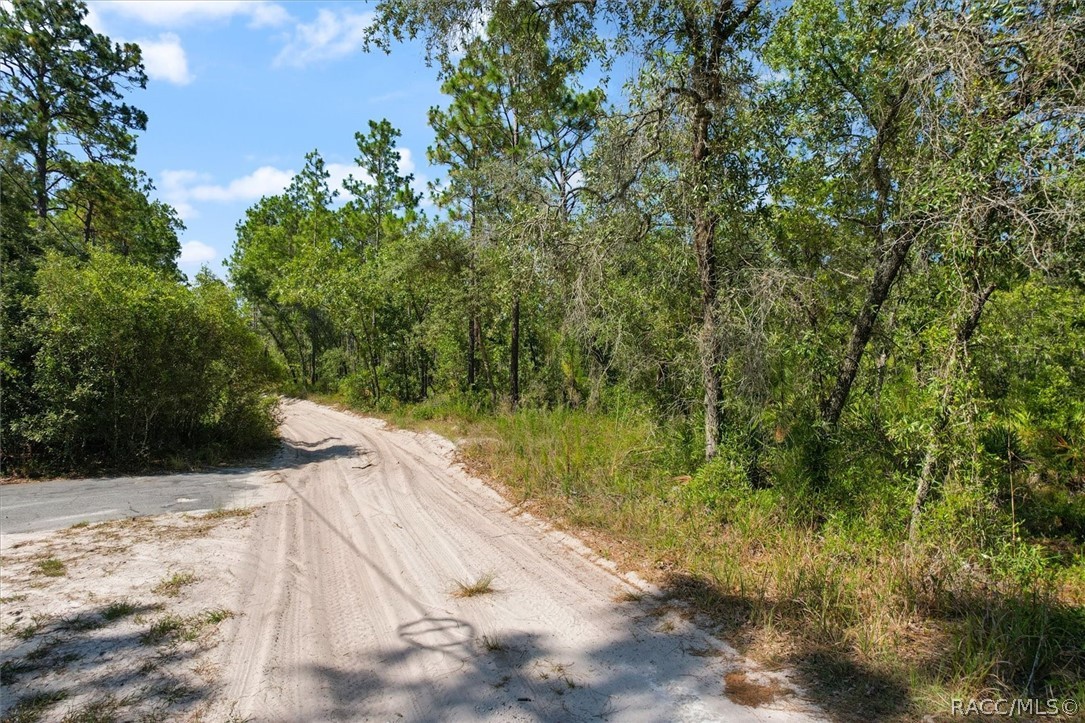 16452 Hardeman Junction, Weeki Wachee, Florida image 9