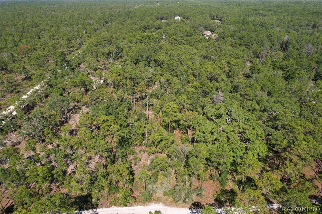 16452 Hardeman Junction, Weeki Wachee, Florida image 8