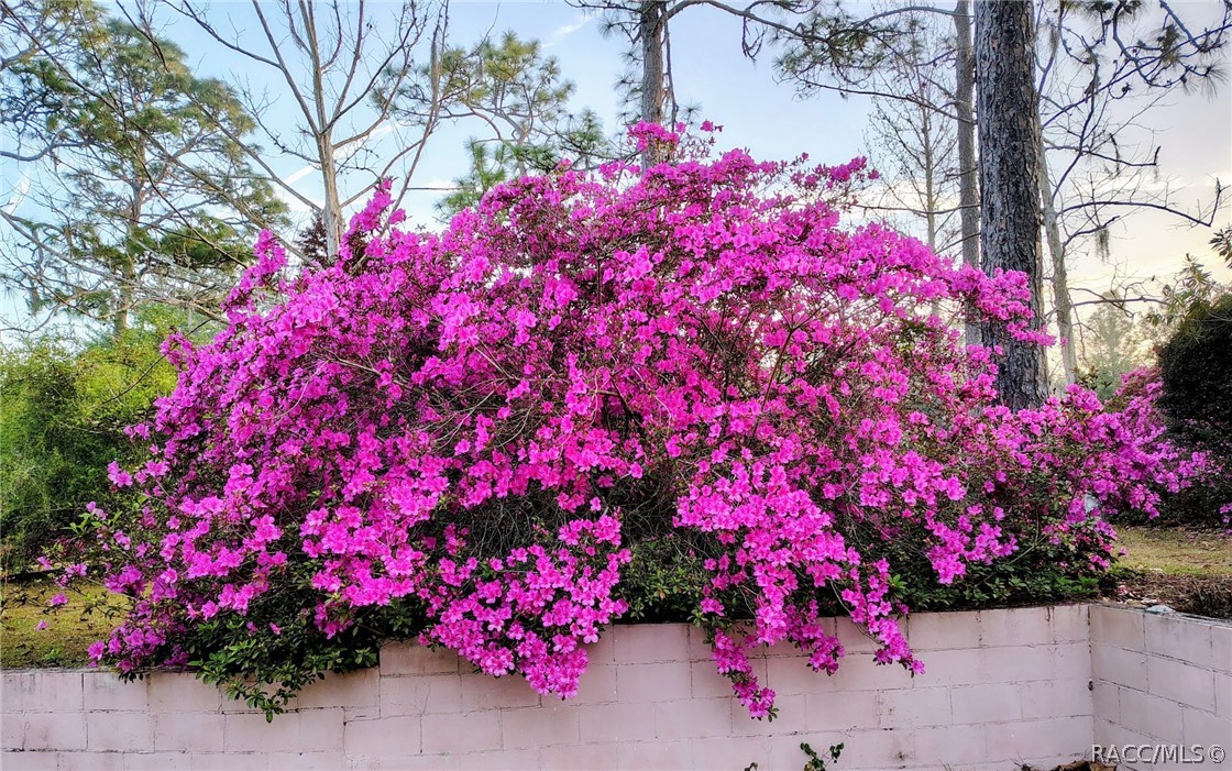 9520 N Holyoak Terrace