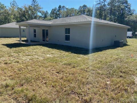 A home in Dunnellon