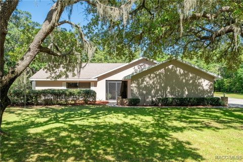 307 N Kinglet Avenue Hernando FL 34442