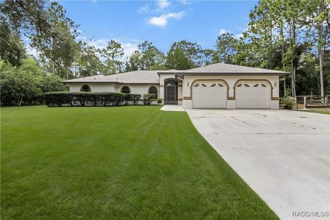 2494 W Axelwood Drive Beverly Hills FL 34465