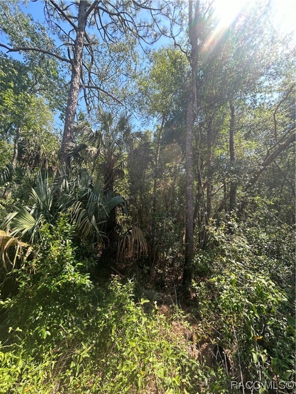 9800 W Sandra Street, Crystal River, New York image 3