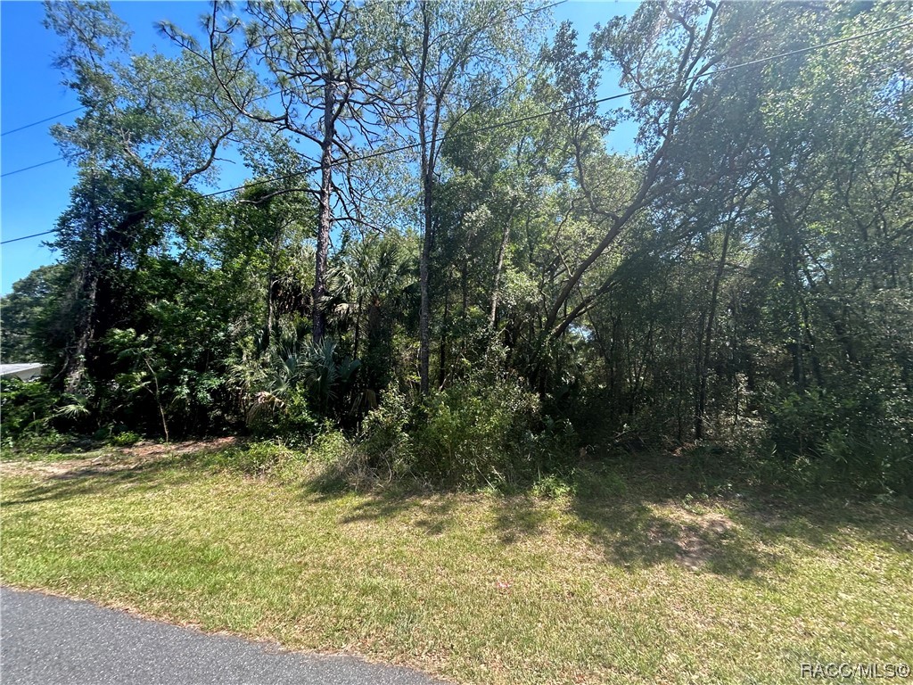 9800 W Sandra Street, Crystal River, New York image 2