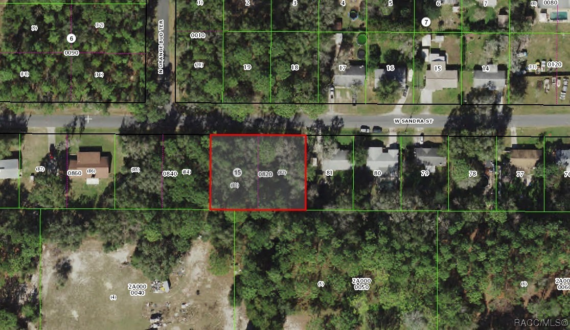 9800 W Sandra Street, Crystal River, New York image 11