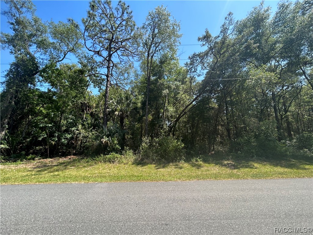 9800 W Sandra Street, Crystal River, New York image 6