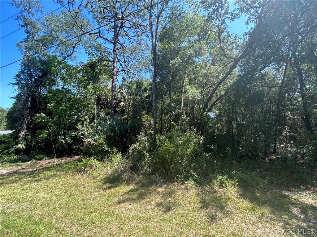 9800 W Sandra Street, Crystal River, New York image 1