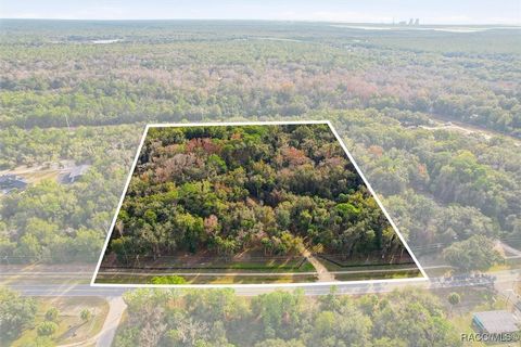 Vacant Land For Sale - 270 Highway 40<br/> Inglis, FL 34449