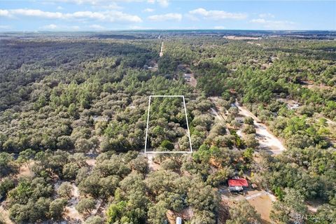 A home in Dunnellon