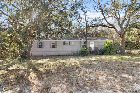 A home in Dunnellon