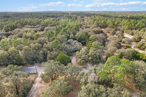 A home in Dunnellon