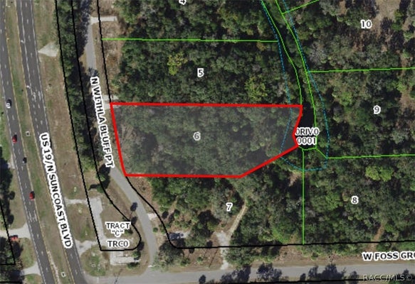 11043 N WITHLA BLUFF PT, INGLIS, FL 34449 - Image 957a5e8b6e919a47b3c2bd54bbcfc42e/481889961