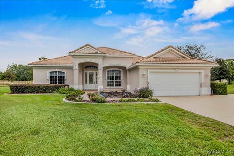 49 S Secretariat Point Inverness FL 34453