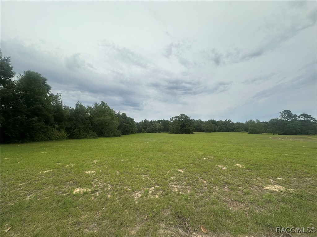 95 E Tara Court, Hernando, Florida image 4