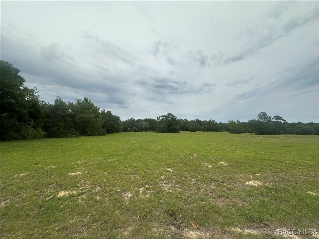 95 E Tara Court, Hernando, Florida image 3