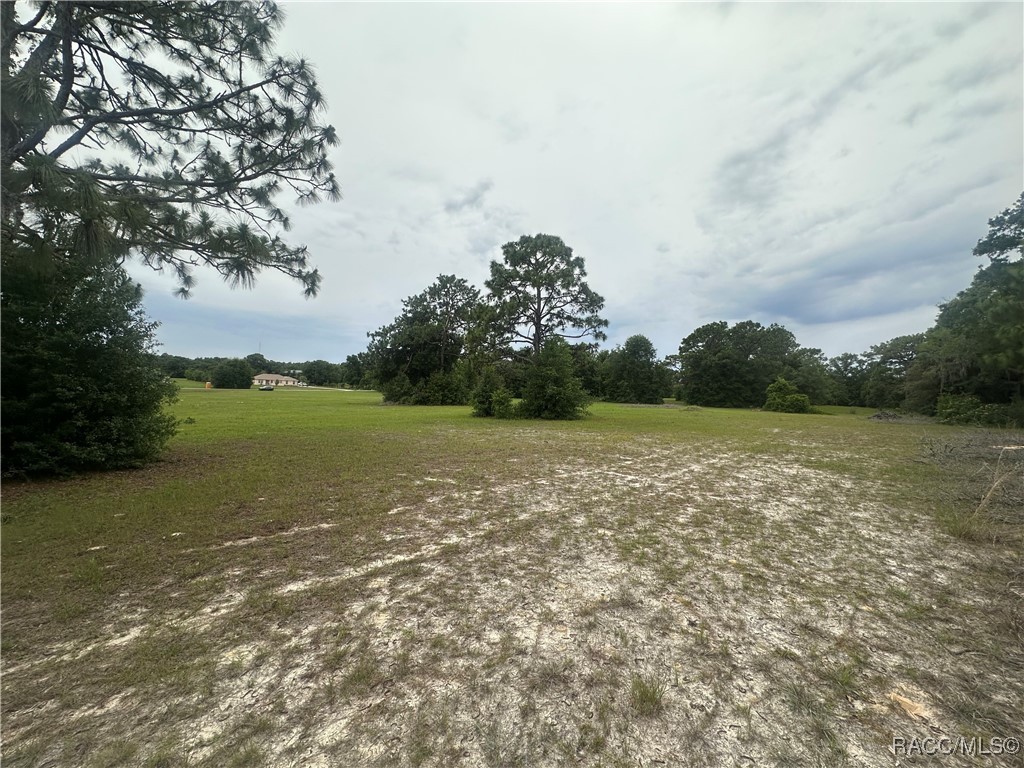 95 E Tara Court, Hernando, Florida image 5