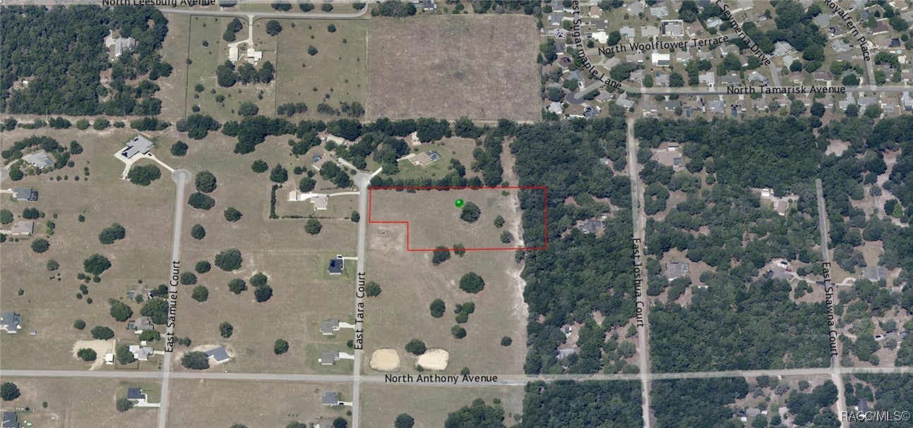 95 E Tara Court, Hernando, Florida image 10