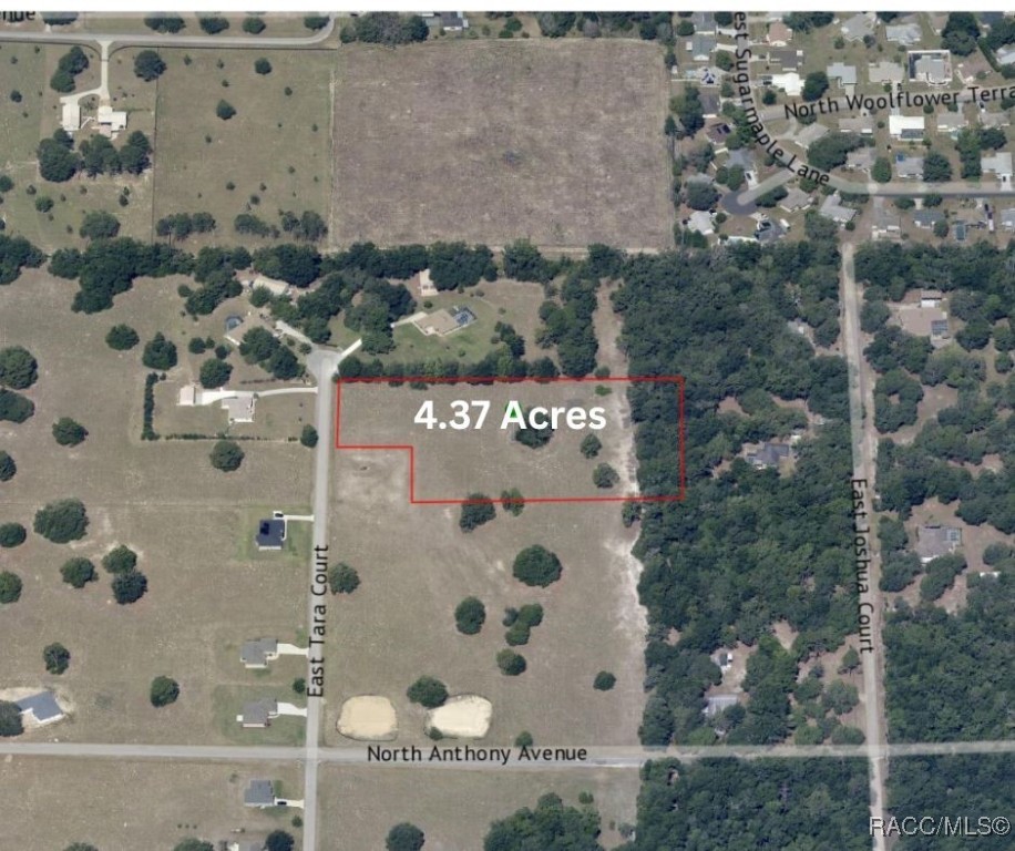 95 E Tara Court, Hernando, Florida image 1