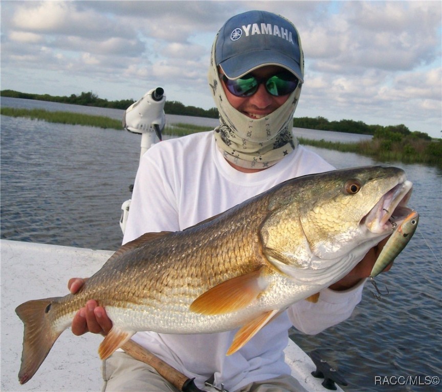 Hernando, Florida, 34442, United States, 3 Bedrooms Bedrooms, ,4 BathroomsBathrooms,Residential,Active,1969984