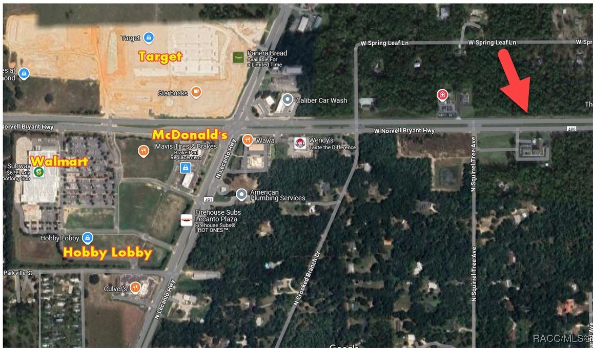 2553 W Norvell Bryant Highway, Lecanto, Florida image 1