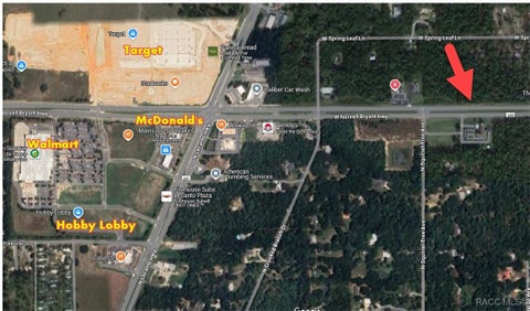 Vacant Land For Sale - 2553 W Norvell Bryant Highway<br/> Lecanto, FL 34461