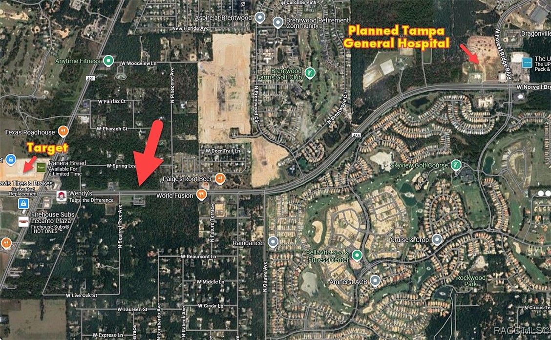 2553 W Norvell Bryant Highway, Lecanto, Florida image 2