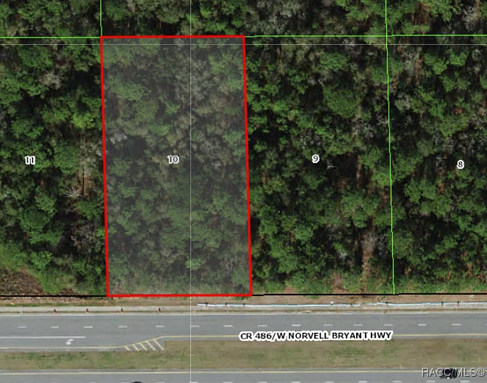 2553 W Norvell Bryant Highway, Lecanto, Florida image 3