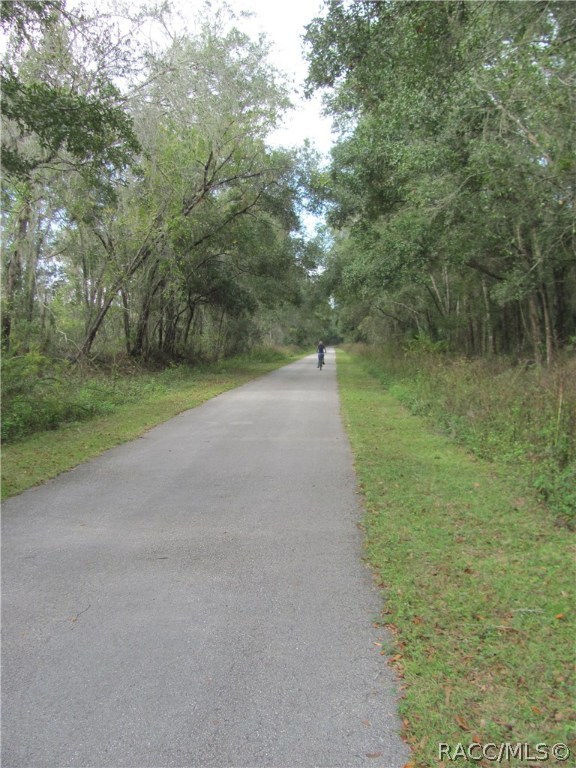 2001 Highway 41, Inverness, Florida image 2