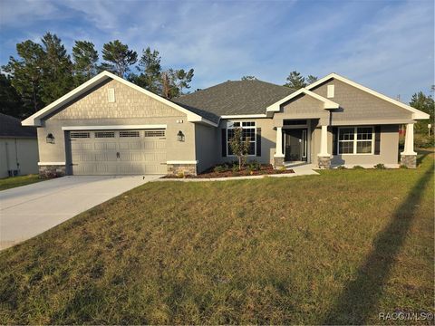 A home in Homosassa