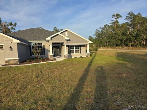 A home in Homosassa