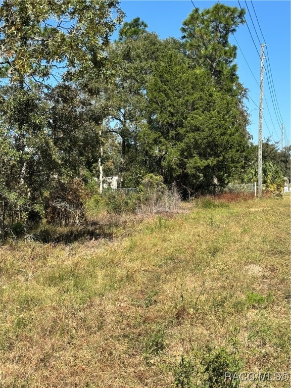 4401 W Homosassa Trail, Lecanto, Florida image 23