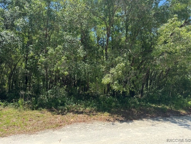 5660 W Meadowpark Lane, Crystal River, Florida image 2