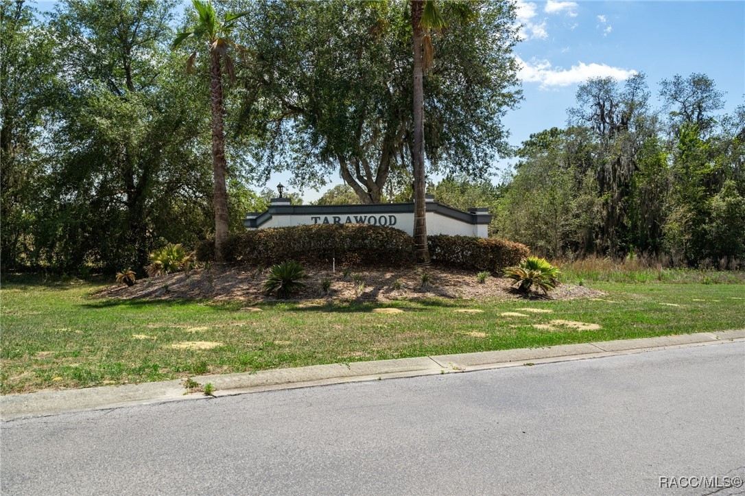 10541 S Drew Bryant Circle, Floral City, New York image 39
